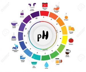 What is PH?